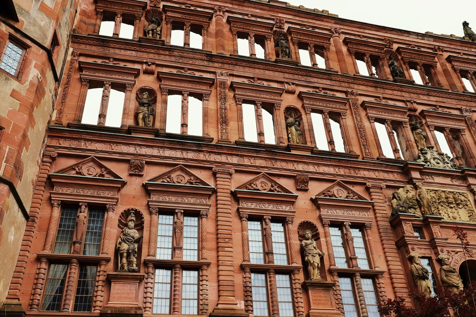 Réservation Body Worlds Heidelberg : modalités et choix des billets
