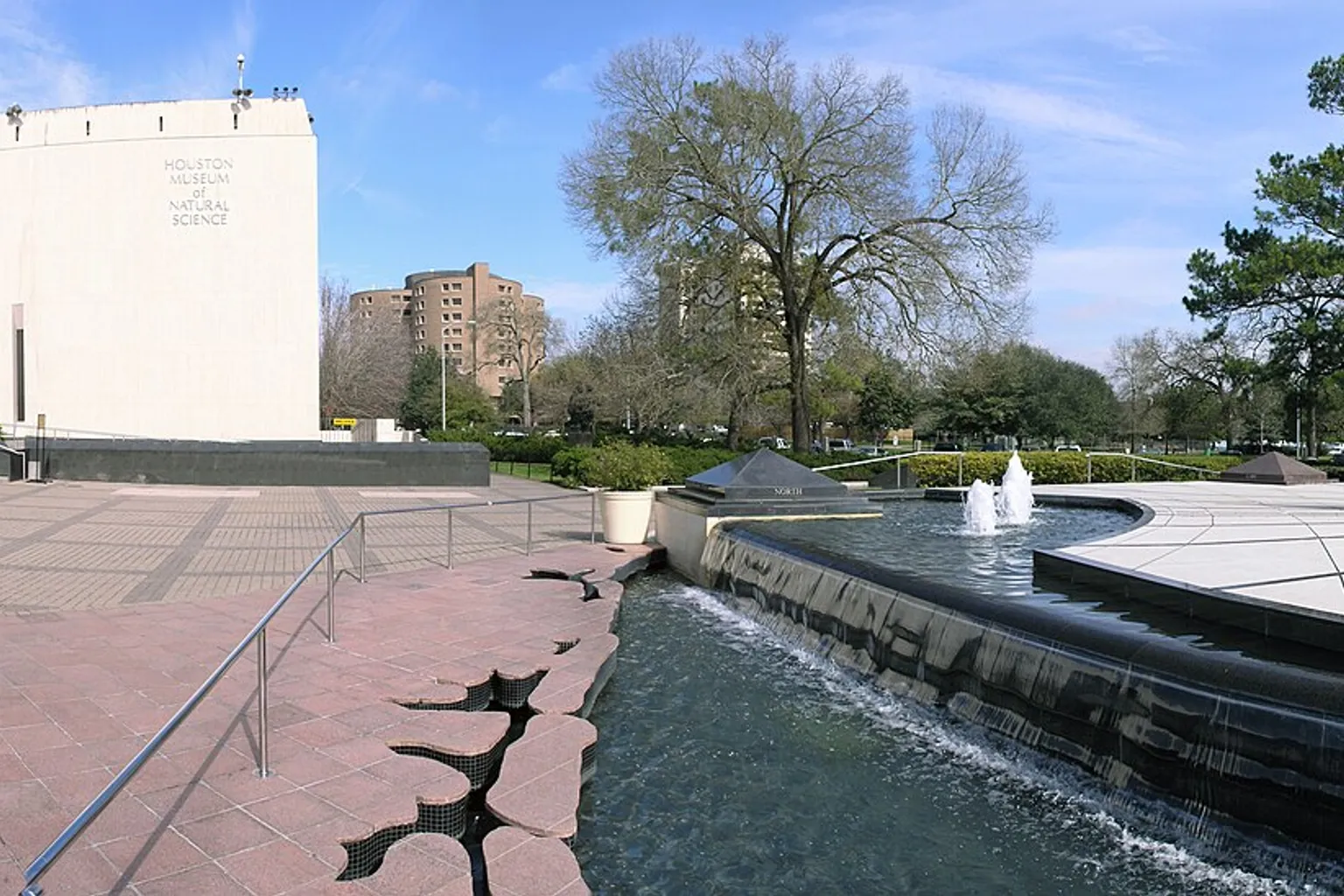 Musée des sciences naturelles de Houston : guide complet pour organiser votre visite