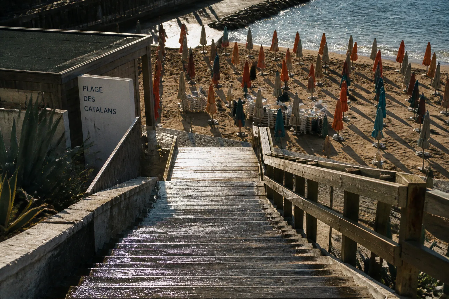 Plages de Marseille : anticiper l'affluence pour mieux en profiter