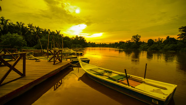 Lucioles de Kuala Selangor (Kampung Kuantan)
