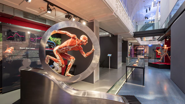 Body Worlds Heidelberg